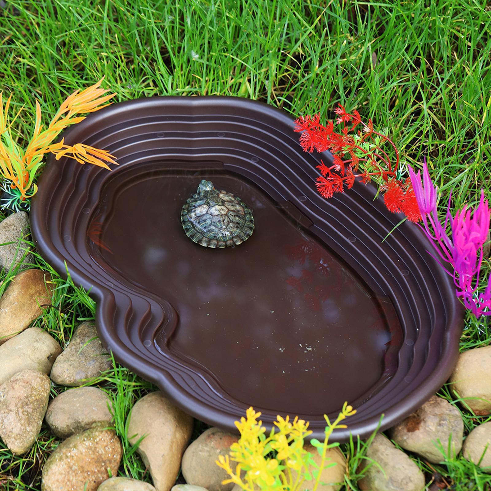 Sürüngen banyo çanak kaplumbağ - Water Dish Reptile incelemesi ve fiyatı