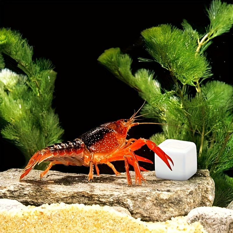 6 Adet Balık Tankı Kalsiyum Bl - Calcium Powder Reptile incelemesi ve fiyatı